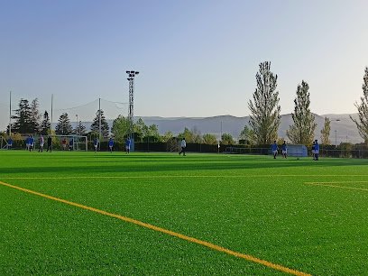 Campo «José Antonio Minguela»