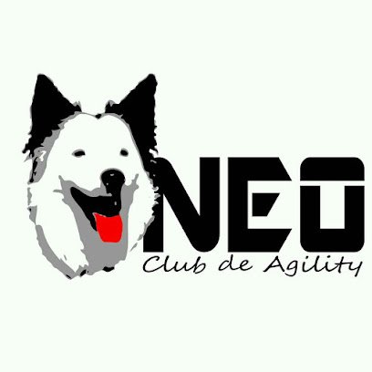 Club AGILITY NEO