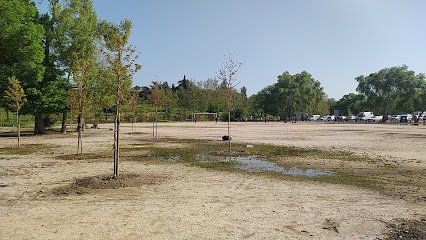 Campo de fútbol