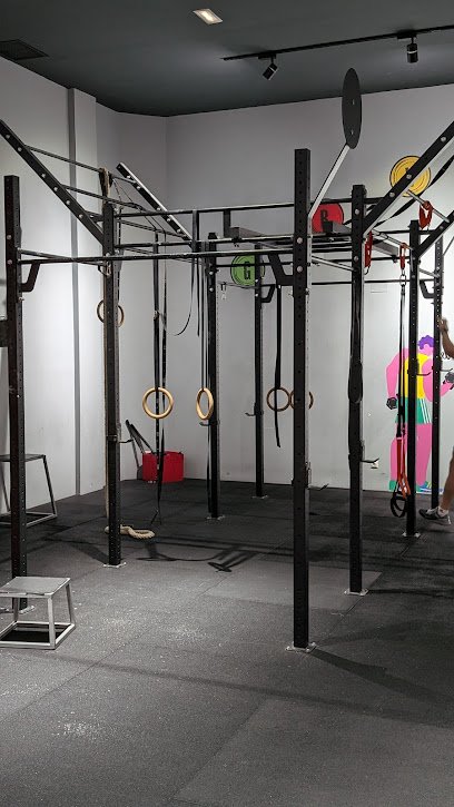Gravitylesstraining