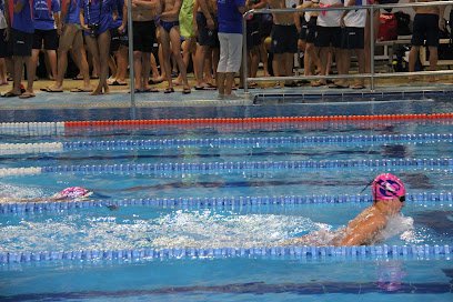 Piscina Municipal de Trafalgar-Real Club Natación Delfín