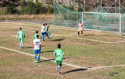 Campo de Palmeira (Ventín). Sociedad Hijos de Palmeira.