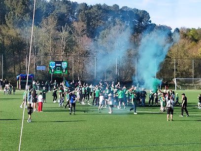Campo de Futbol Luis Cid Carriega