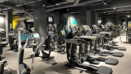 Fitness Park