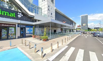 The Genesis by Julius Rivas