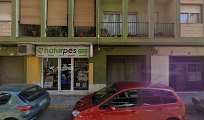 Club Escacs Algemesí