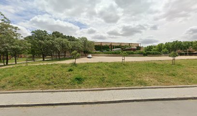 Agrupación de Baloncesto de Villaviciosa de Odón