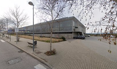 CF Pozuelo