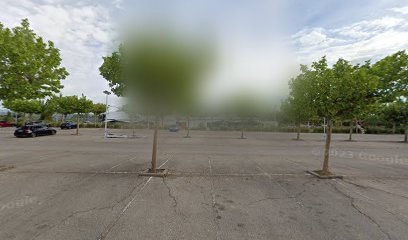 Pistas de fútbol y baloncesto