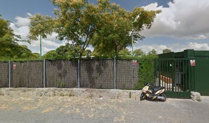 Club Social y Deportivo Olivar de Quintos