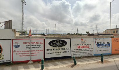 Societat Esportiva Sueca
