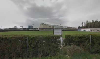 Campo Municipal de Deportes «Santa Quiteria»