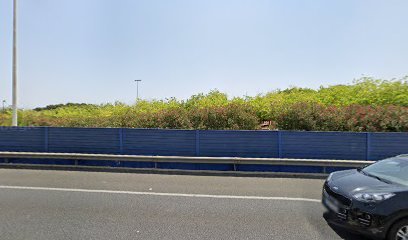 Club Los Lobos petanca