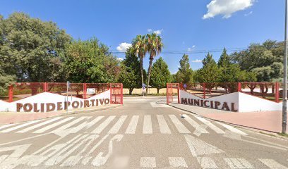 Complejo Polideportivo El Pandero