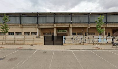 Campo de fùtbol