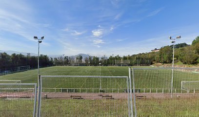 Campo 3. Zelaia