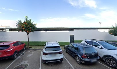 Campo Municipal de Fútbol Vicente Blanca