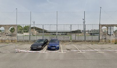 2. Futbol zelaia