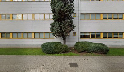 Club Deportivo Caminos A Coruña