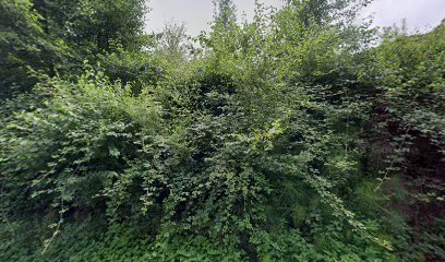 Campo de futbol La Balsa