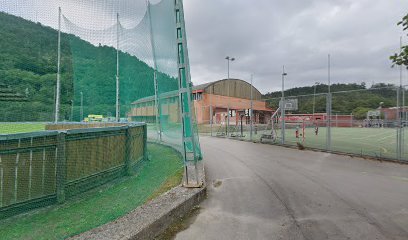 Polideportivo Agones