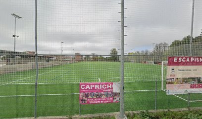 Campo de fútbol