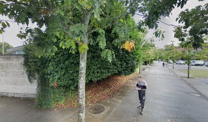 Vista Alegre Club de Fútbol