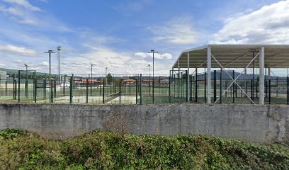 Campo de futbol A Granxa