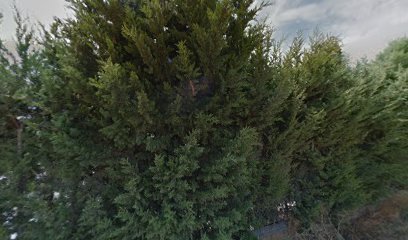 Campo de fútbol de Abarán