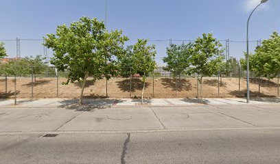 Campo de Fútbol