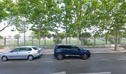 Campo de fútbol