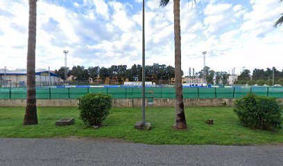 Estadio