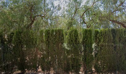 Футбольное поле