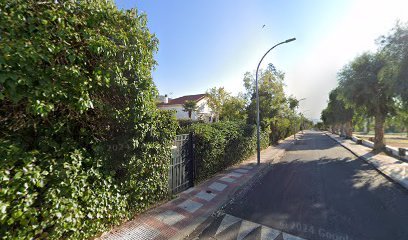 Campos De Petanca
