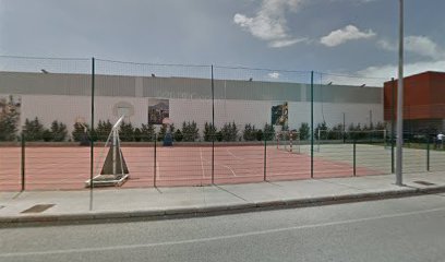 Pistas de fútbol, baloncesto y voleibol del Decathlon
