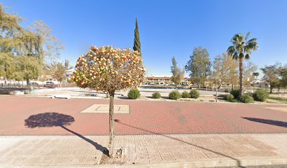 Cancha de futbol publica