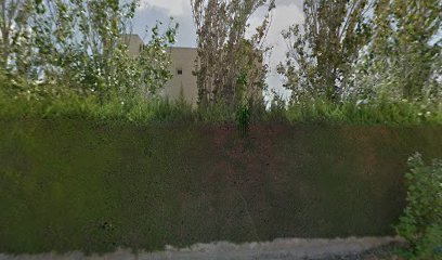 Campo de Rugby de San Javier