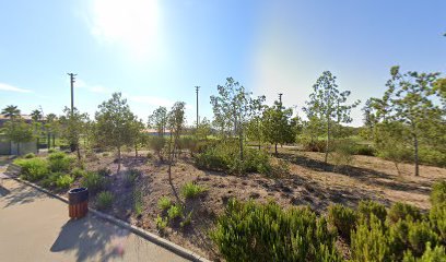 Camp de Rugby Anella Mediterrània