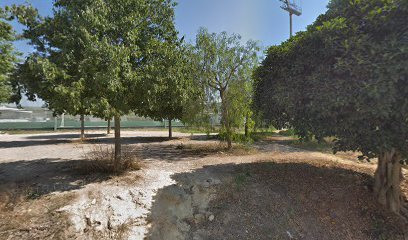 CAMP DE FUTBOL NOU PINS VENS