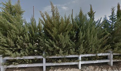 Asociación Deportiva Juanote