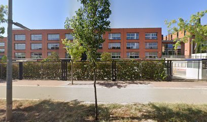 Camp de Futbol School Europa International