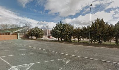 Campo de fùtbol
