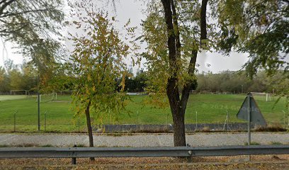 CAMPO DE FÚTBOL