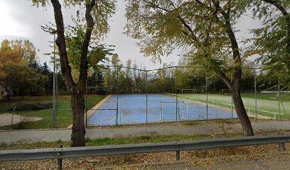 Campos de fútbol de Santiago
