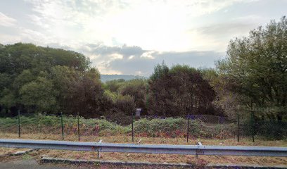 Campo de Fútbol O Xuncal