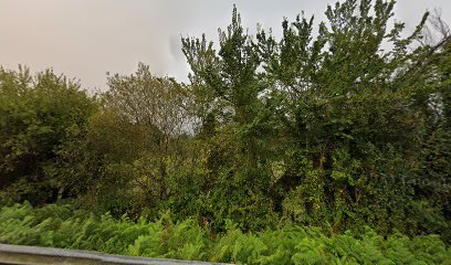 Campo Futbol de Cortiñán.