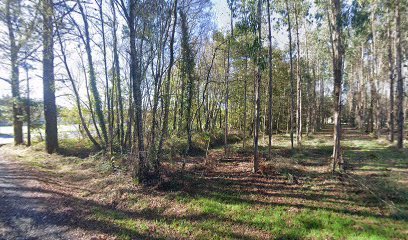 campo futbol albense