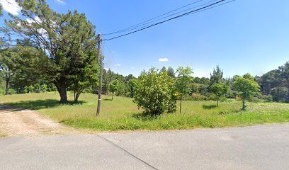 Campo de futbol Neixón