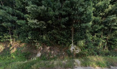 Campo de fútbol de Moscoso