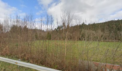 Campo de futbol